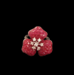 RUBY RING